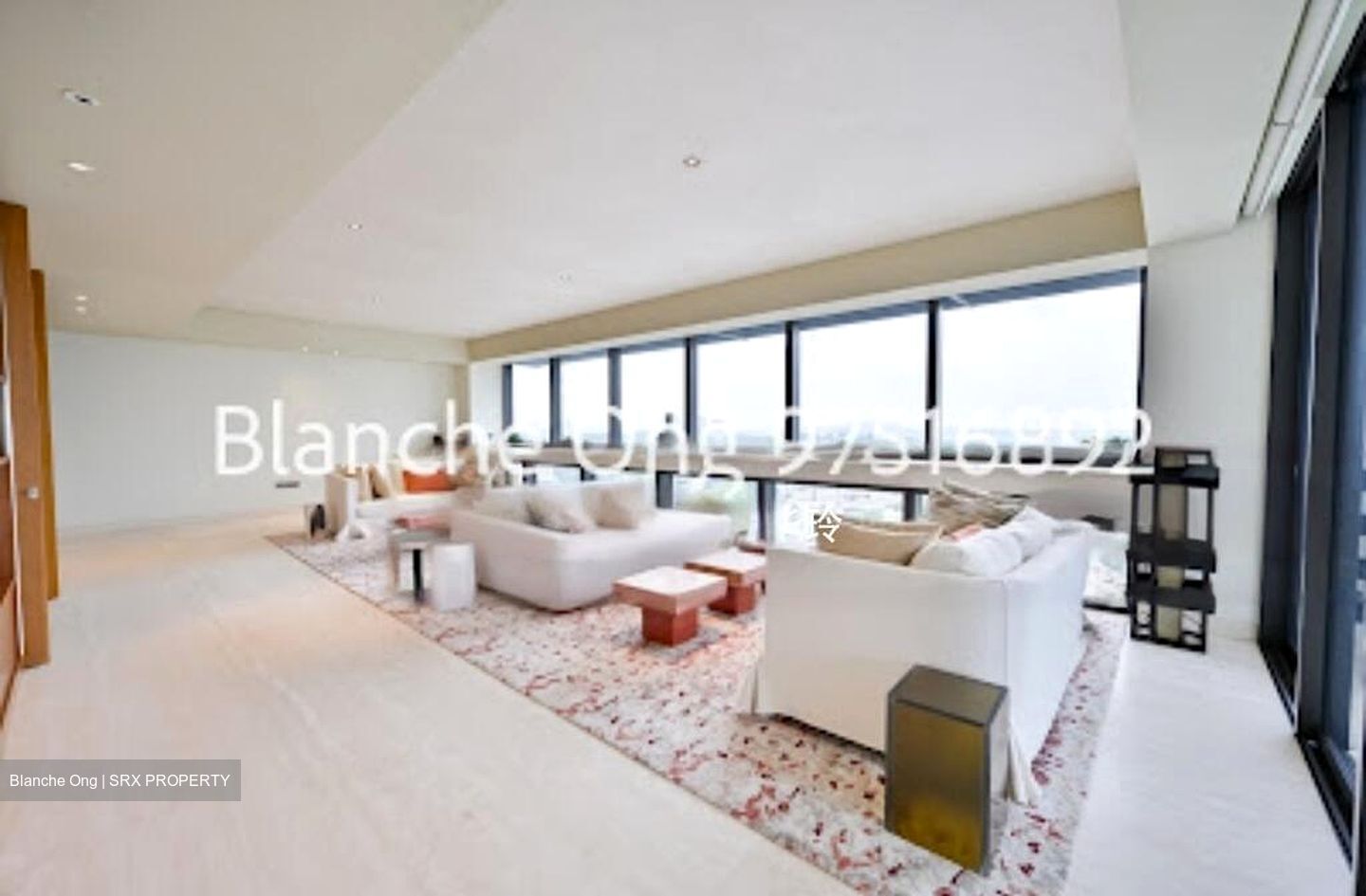 Hana (D10), Condominium #511288101